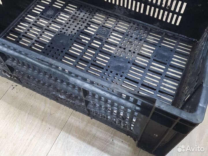 Ящик для хранения овощей 60х40 см