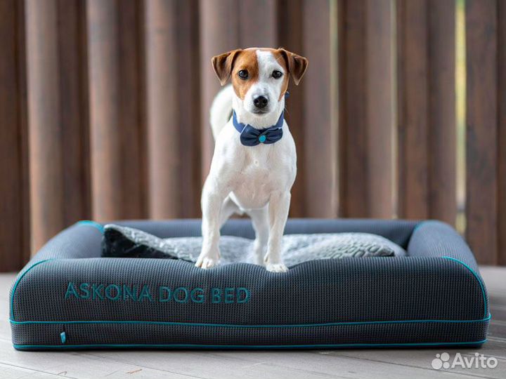 Лежанка для животных Askona с охлаждающим эффектом