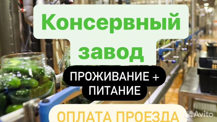 Консервный завод Сортировщики. Вахтовый метод