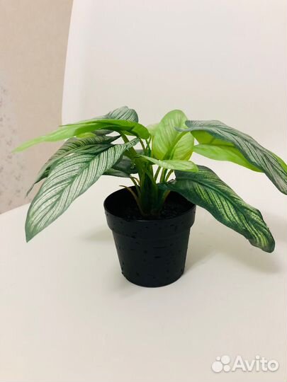 Новые искусств-ые цветы и горшки IKEA