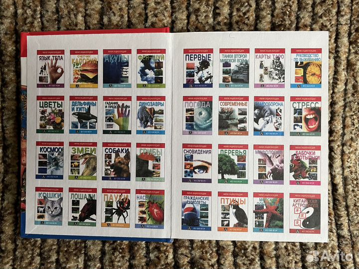 Шесть мини-энциклопедий из цикла «Всё обо всём»