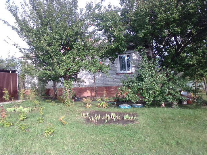 Дача 66 м² на участке 14 сот.