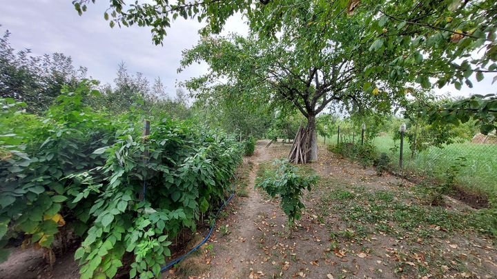 Дом 30 м² на участке 20 сот.