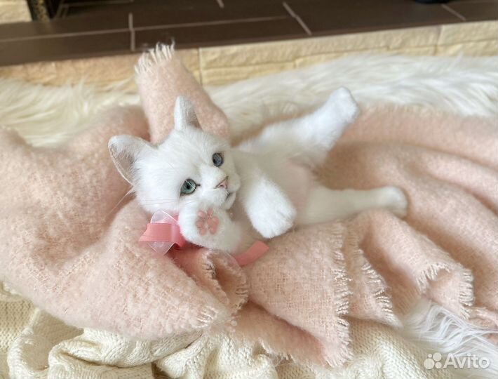 Котенок Алиса.Реалистичная подвижная игрушка