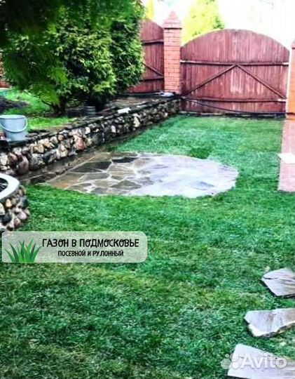 Газон под ключ. Газон посевной и рулонный