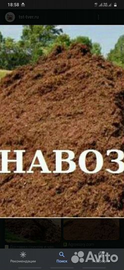 Навоз бесплатно