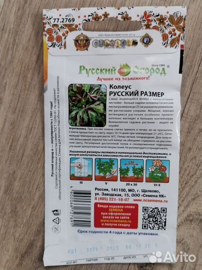 Семена колеус