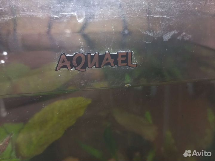 Аквариум aquael 20 литров с растениями и грунтом