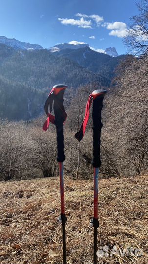 Палки для скандинавской ходьбы