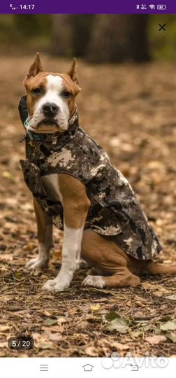 Попона для собак