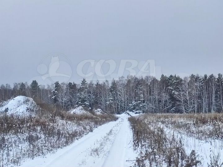 Участок 13,8 га (СНТ, ДНП)