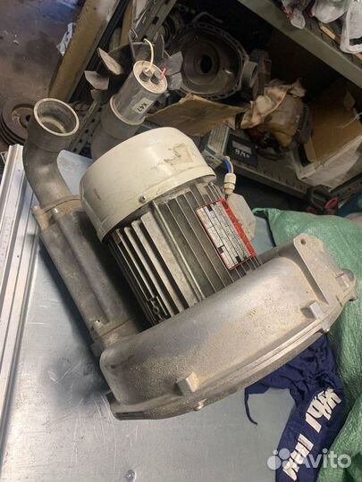 Электродвигатель 220в воздуходувки