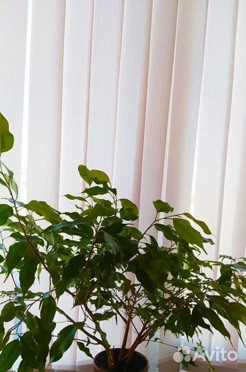 Жалюзи вертикал., шир.1,3м, выс. 1,7м