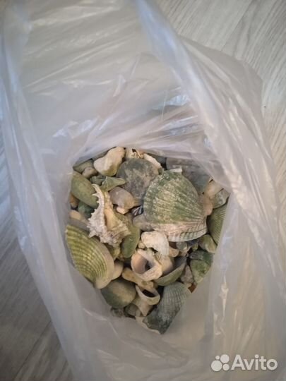 Ракушки и камушки для аквариума