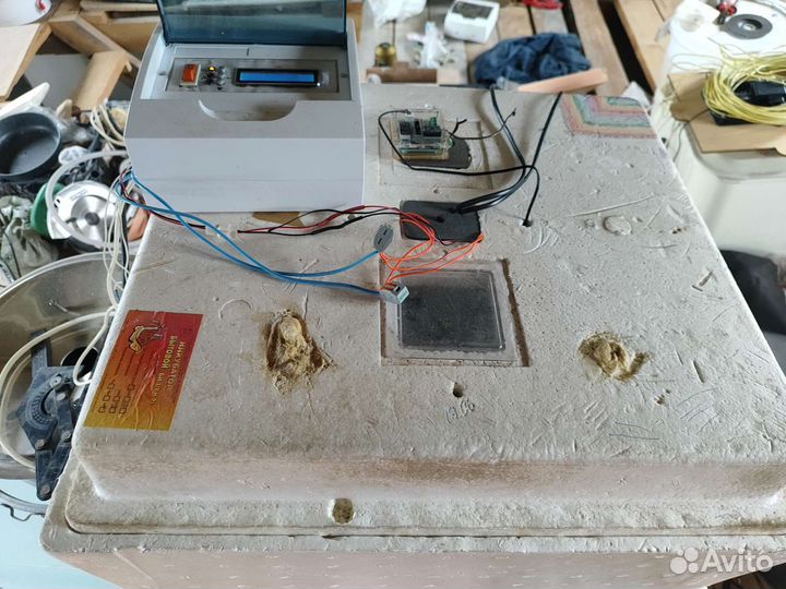 Инкубатор несушка