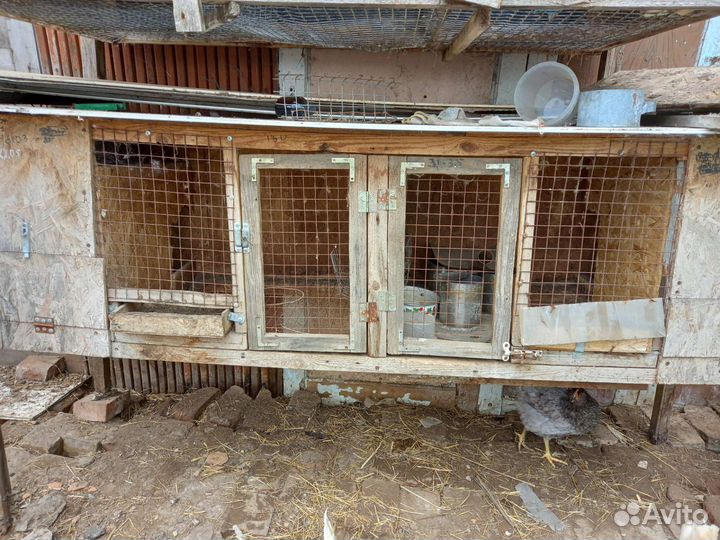 Клетка для кролика