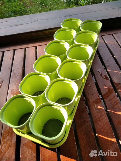 Стаканчики для рассады