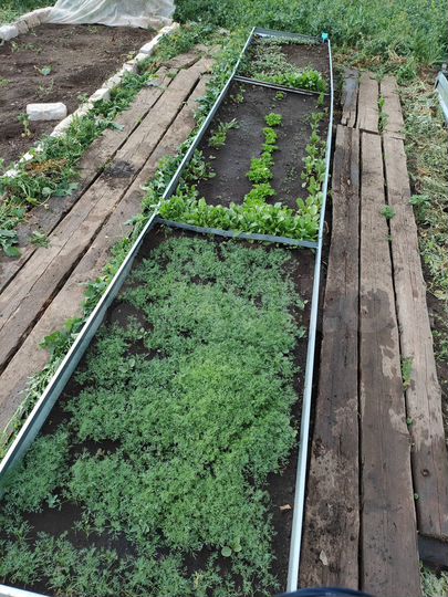 Дом 67 м² на участке 15 сот.