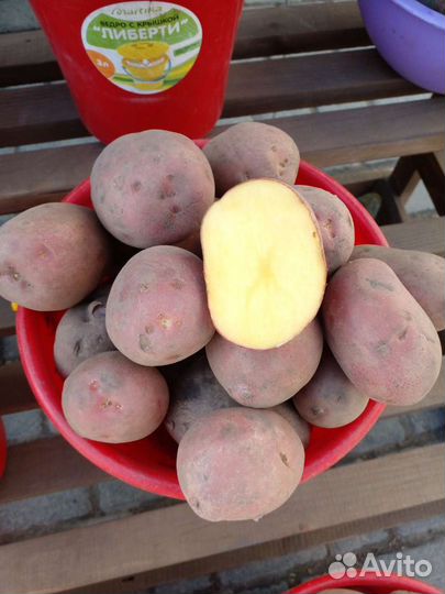 Продам картофель