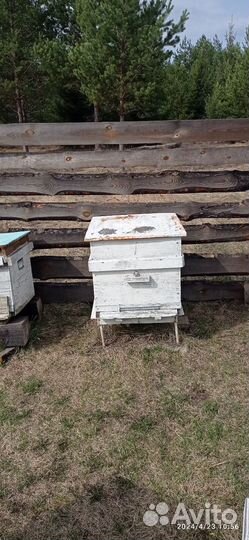 Улей для пчел бу