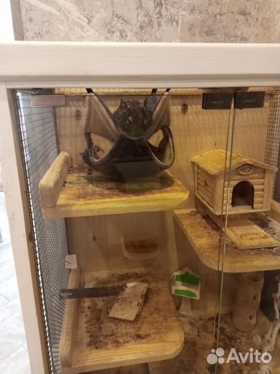 Клетка для грызунов большая