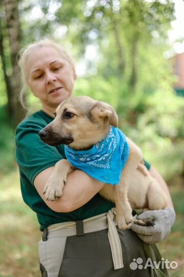 Ищем дом маленькому мальчику