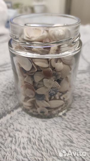 Набор для творчества ракушки