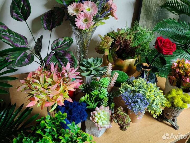 Растения, цветы, трава в кашпо. Декор, от