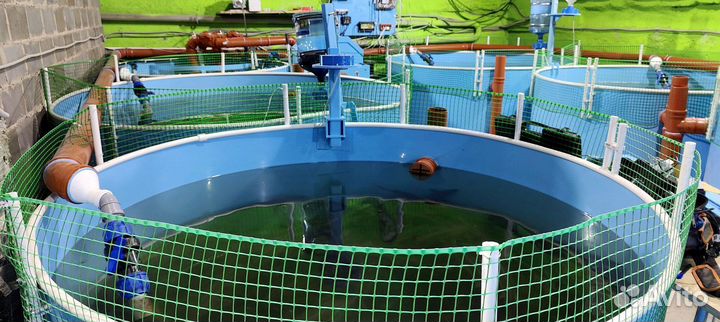 Узв для разведения рыбы