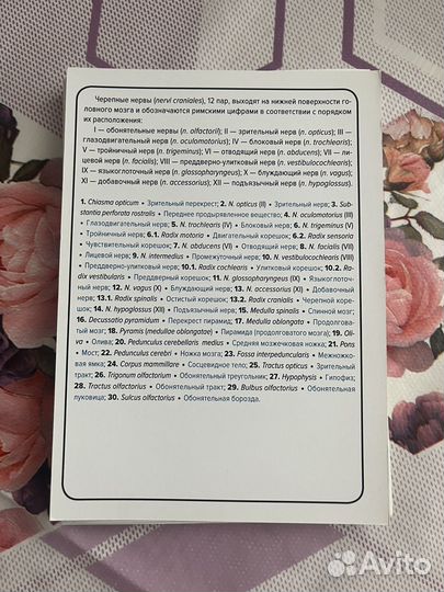 Черепные нервы. Вегетативная нервная система