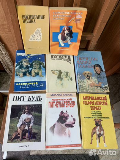 Американский стаффордширский терьер пит буль амста
