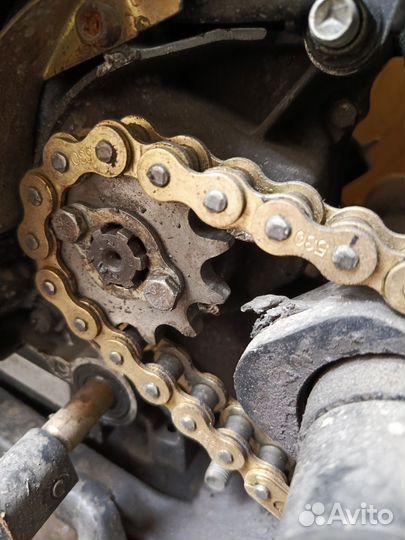 Ролиз спорт