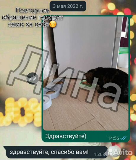 Присмотрю за питомцем