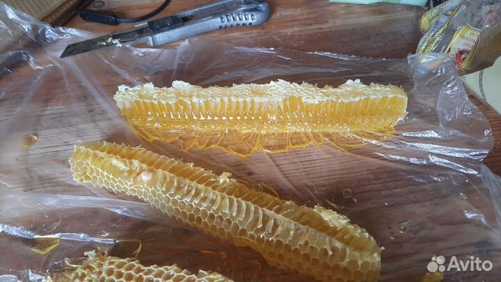 Мед в сотах. Доставка бесплатно