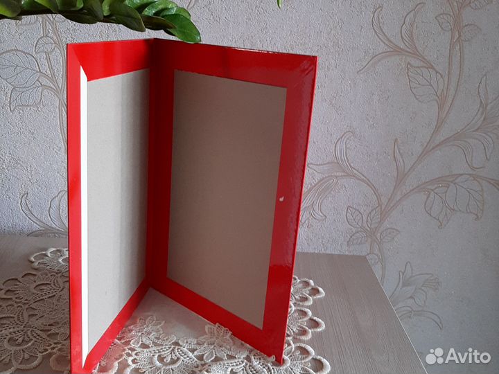 Папка выпускника