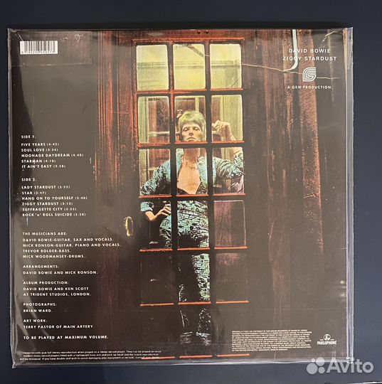 David bowie - the rise and fall of ziggy stardust