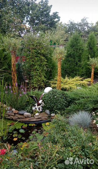 Плетеные деревья из ивы