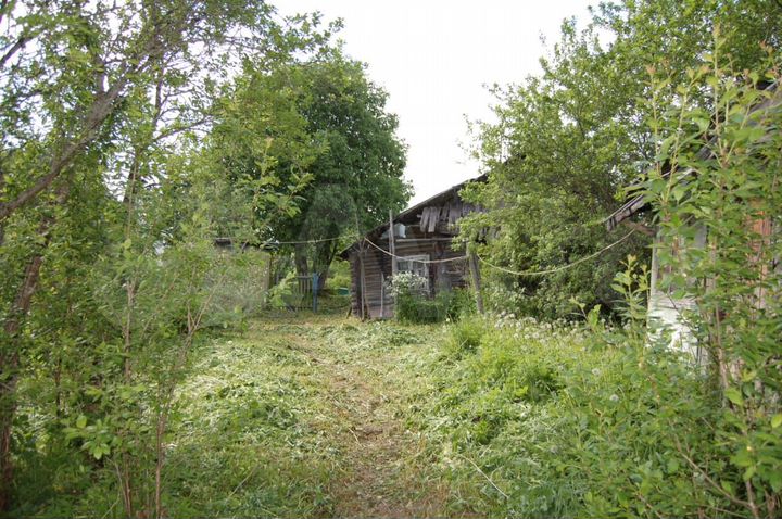 Участок 25 сот. (ИЖС)