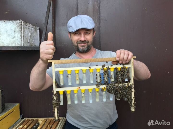 Мед Астраханский от производителя