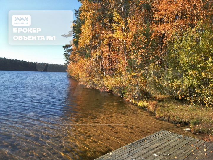 Участок 20 сот. (СНТ, ДНП)