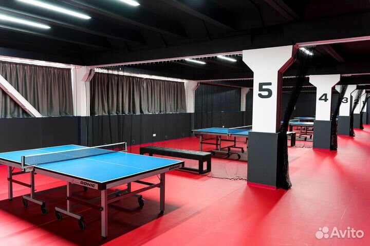 Аренда стола для настольного тенниса