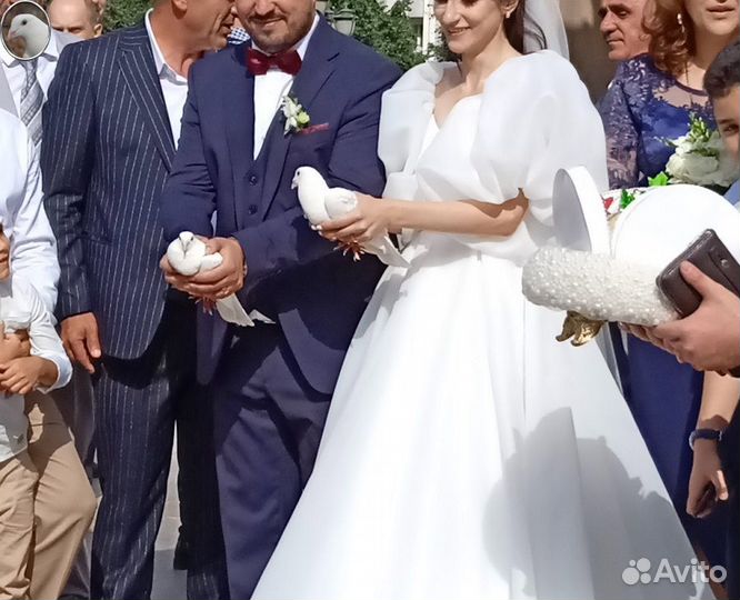 Белые спортивные голуби