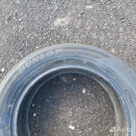 Dunlop Graspic DS3 205/60 R16