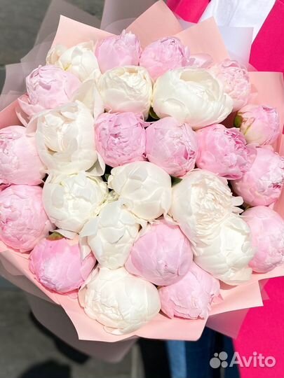 Пионы крупные Премиум букет цветы доставка