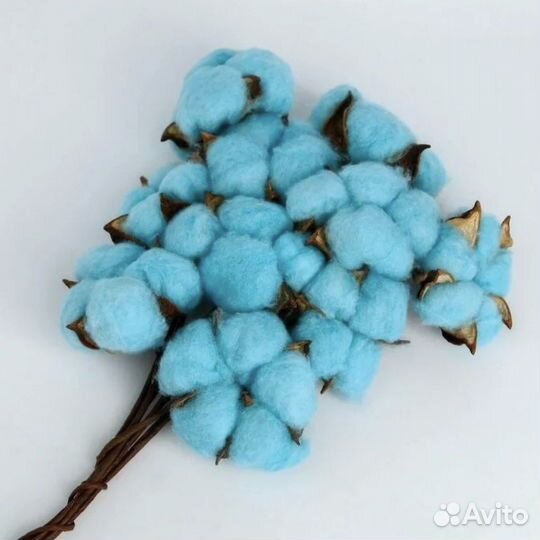 Хлопок. Сухоцветы для творчества и интерьера