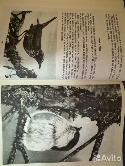 Детские книги СССР