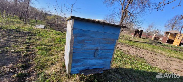 Улей для пчел