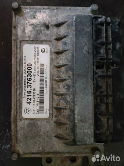 Эбу на газель