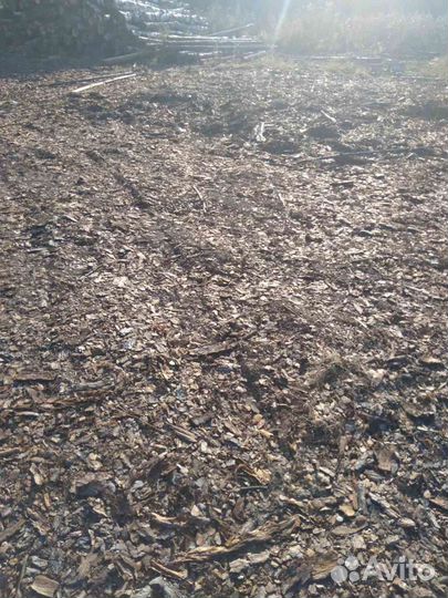 Тунга-кедровый отлет мульча