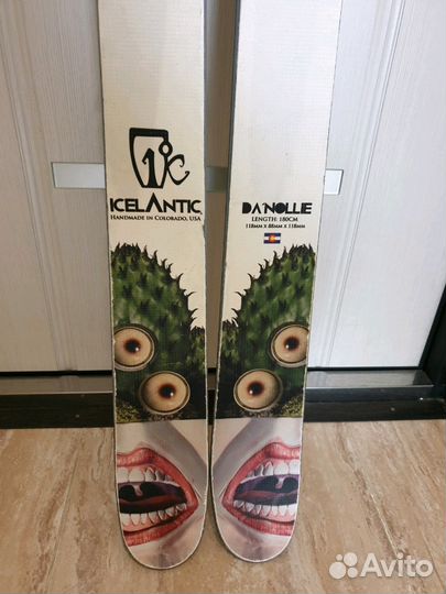 Горные лыжи